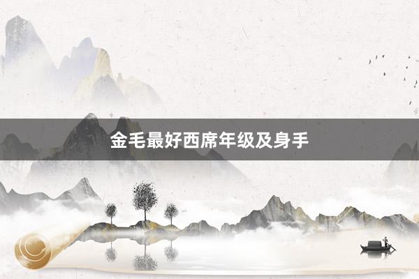 金毛最好西席年级及身手